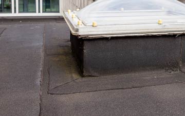 disadvantages of Arnos Vale flat roofs